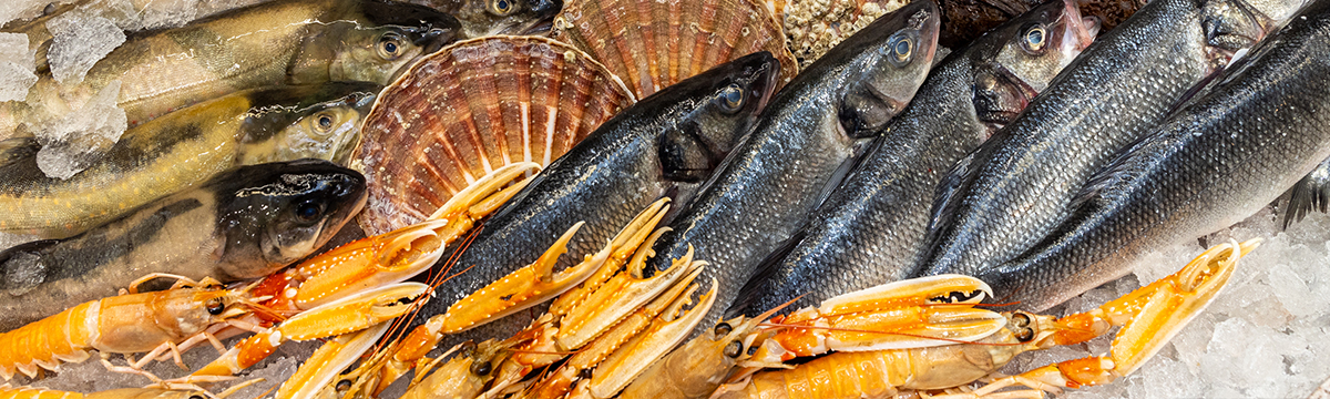 Fisch, Schalentiere und Muscheln auf Eis in der Auslage.